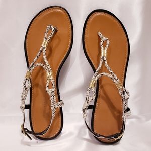 Montego Bay Snakeskin Size 8.5